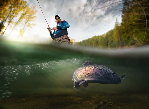 Fishing in the Kalkalpen National Park Region