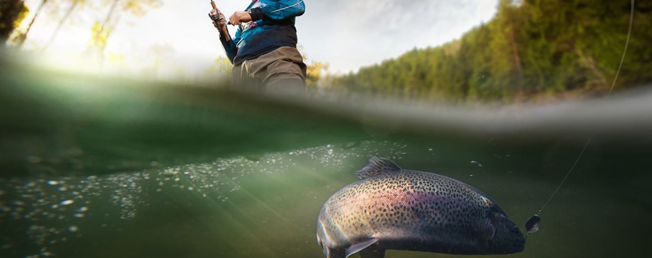 Fishing in the Kalkalpen National Park Region