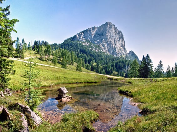 Fishing in the Kalkalpen National Park Region