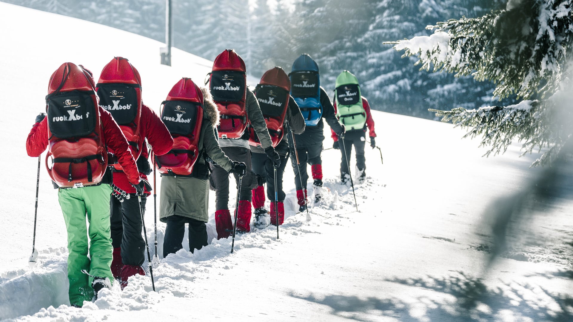 LP Winter Schneeschuhwandern englisch