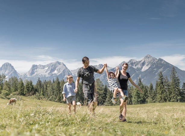 Sommer in den Bergen EN