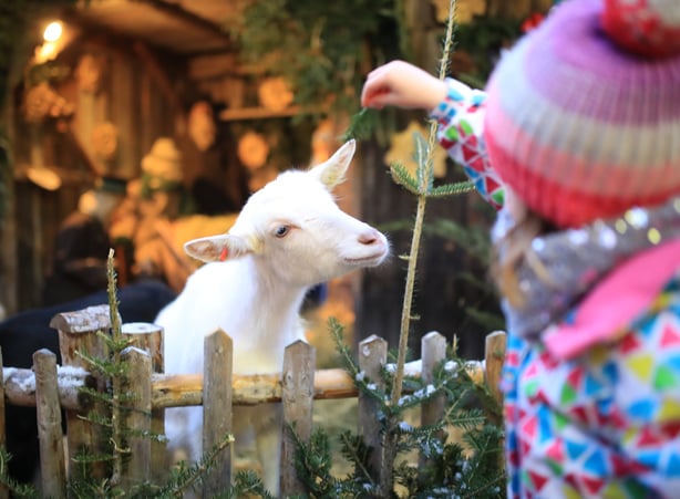 Advent in den Bergen