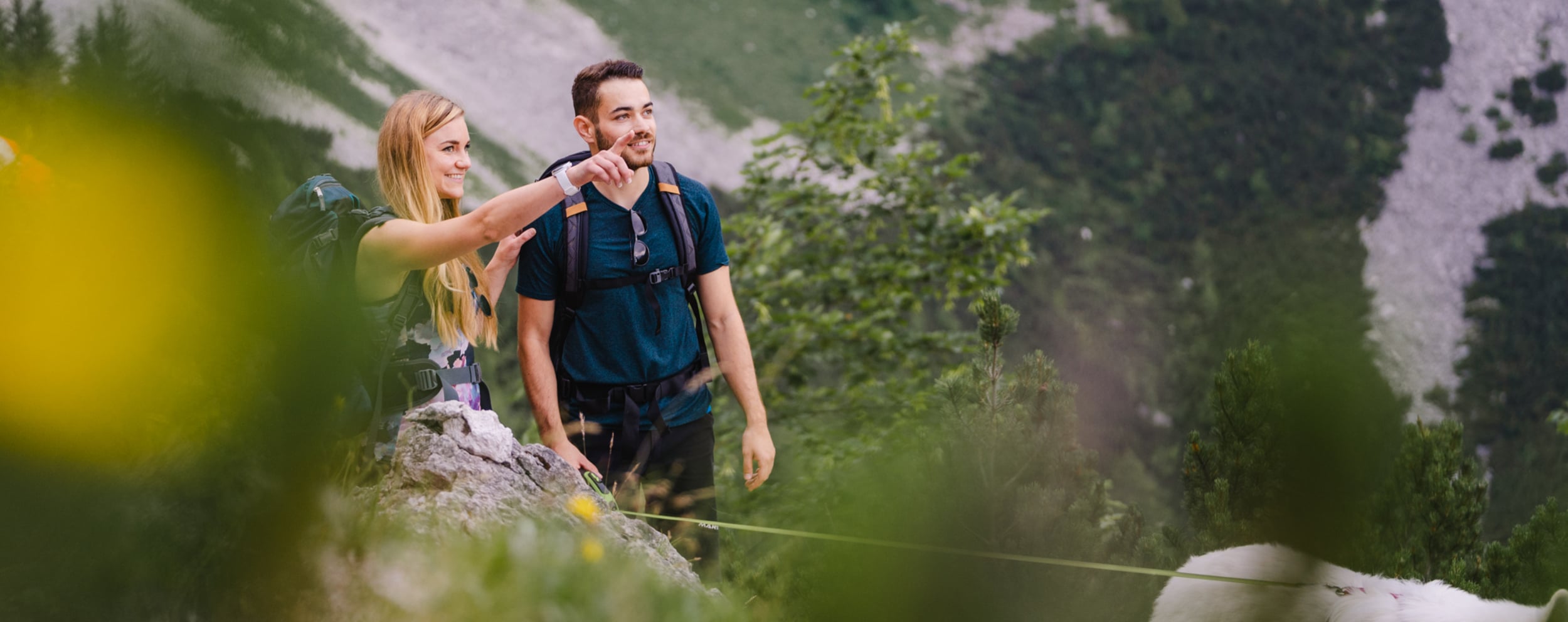 Fitnessstudio Nationalpark: Sportliche Übungen, die sich im Wald durchführen lassen