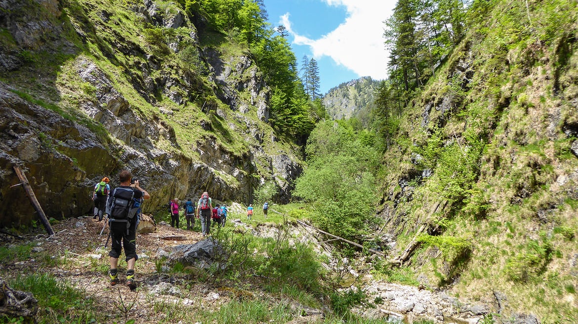 Fitnessstudio Nationalpark: Sportliche Übungen, die sich im Wald durchführen lassen