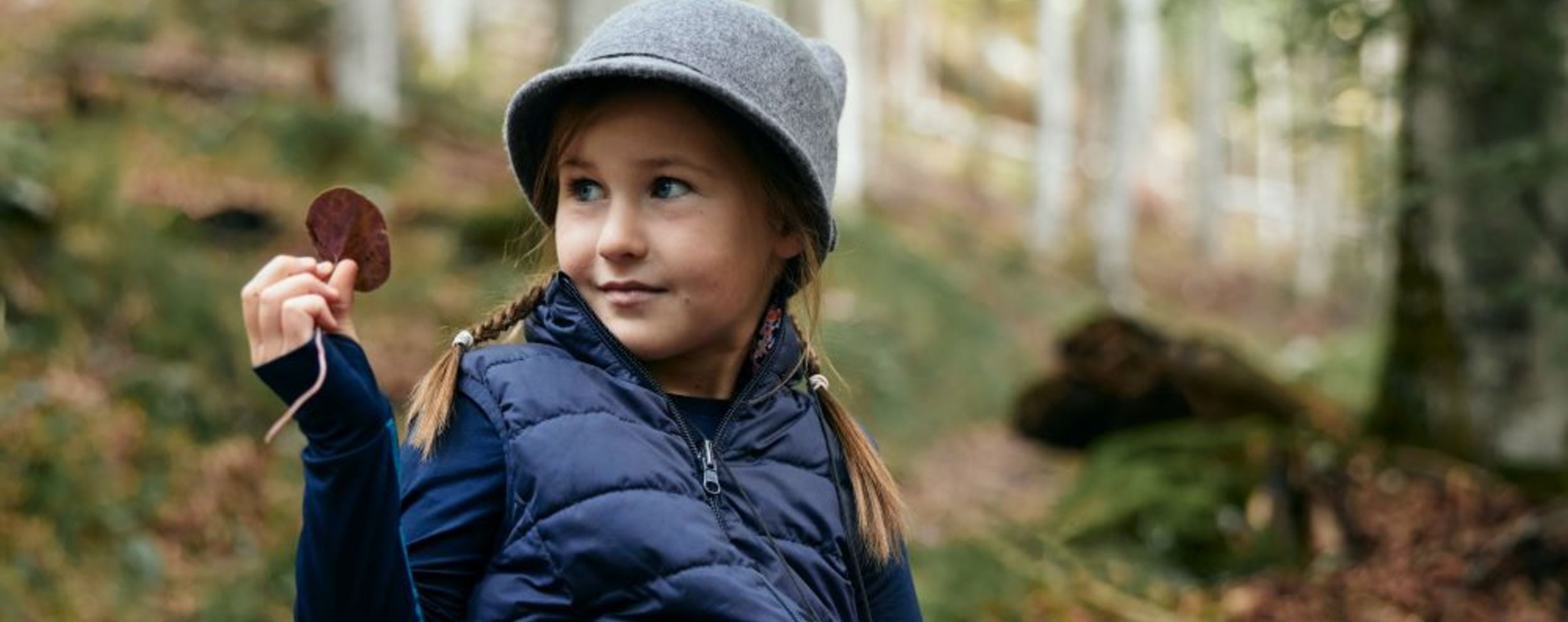 Bäume mithilfe von Blättern bestimmen: Ein Naturerlebnis für Kinder im Nationalpark Kalkalpen